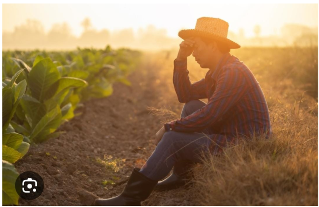 Screenshot 2026-04-02 145440.png