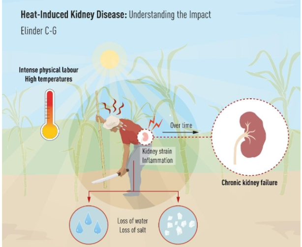 Screenshot 2026-04-02 145456.png